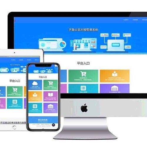 齐鲁云采对接服务平台